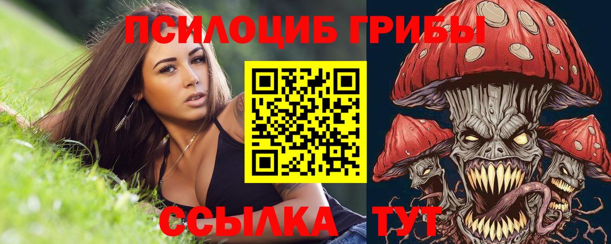 Псилоцибиновые грибы Magic Shrooms Красногорск