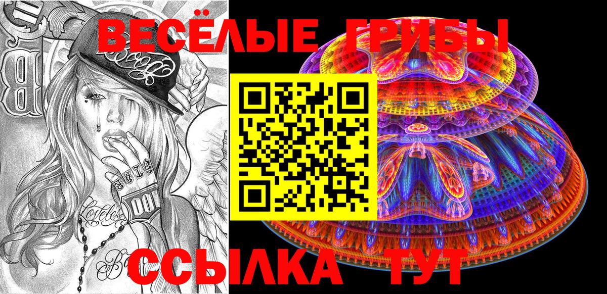 Галлюциногенные грибы прущие грибы  Вход с VPN  Красногорск  Псилоцибиновые грибы GOLDEN TEACHER 